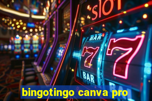 bingotingo canva pro